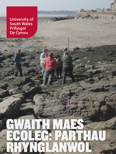 A video thumbnail for the biology video 'Gwaith Maes Ecoleg: Parthau Rhynglanwol' showing students conducting experiments on a rocky beach in Wales