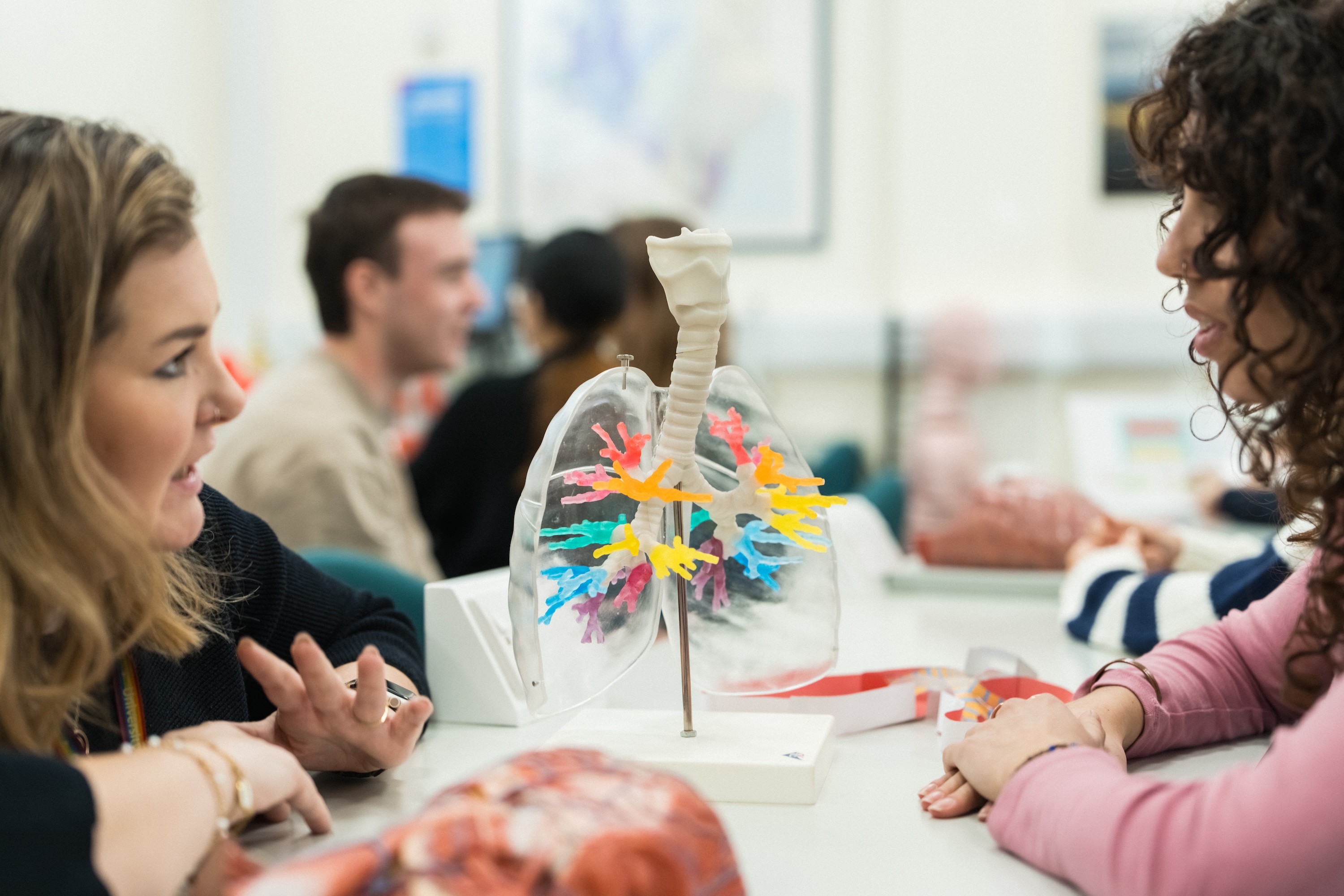 Two students discuss medical sciences while examining an anatomical model of a set of lungs in a USW medical sciences classroom