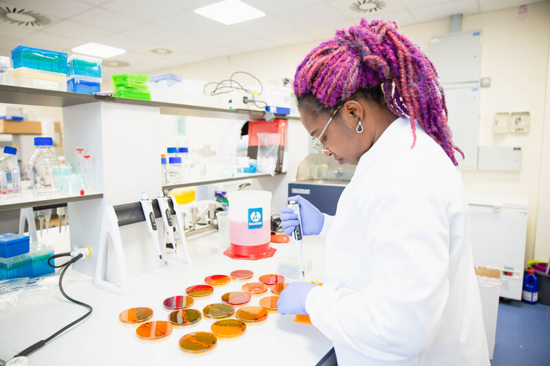 Researcher, Talatu Usar, is working in a lab.
