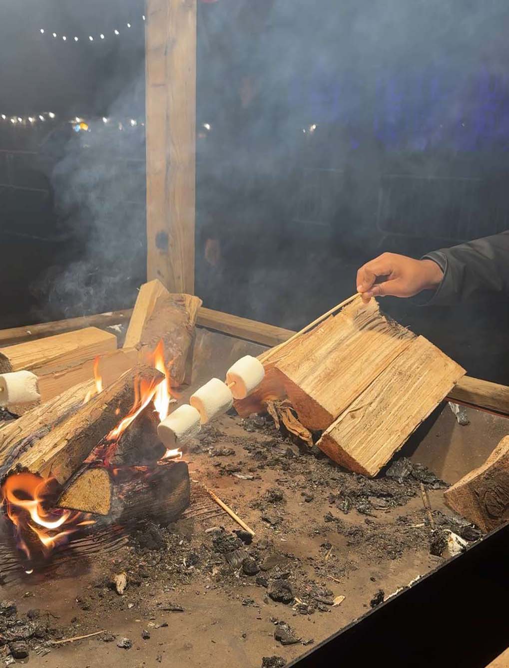 A close up of somebody roasting marshmallows on a fire.