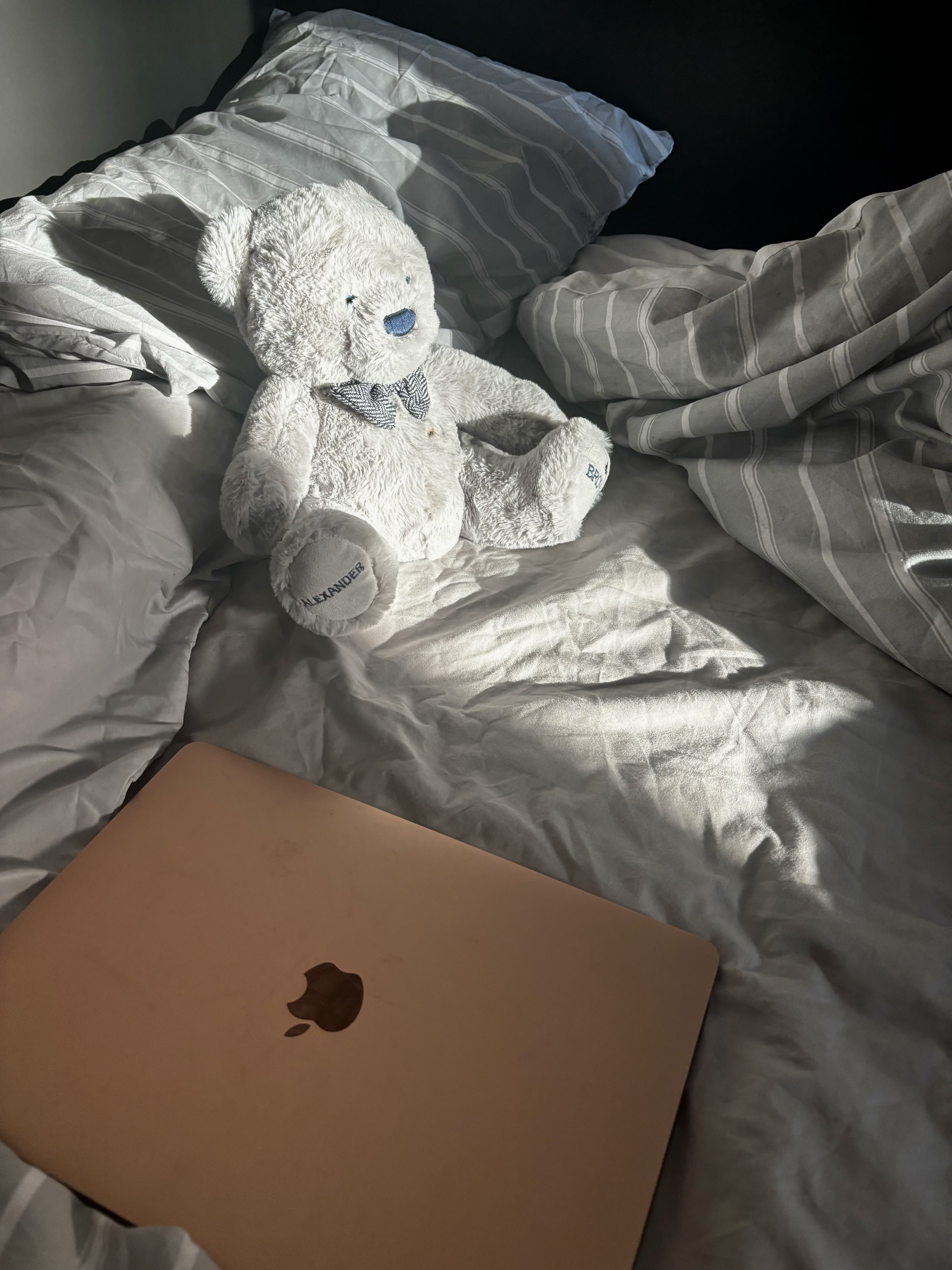 A laptop and a teddy bear on a grey bed.
