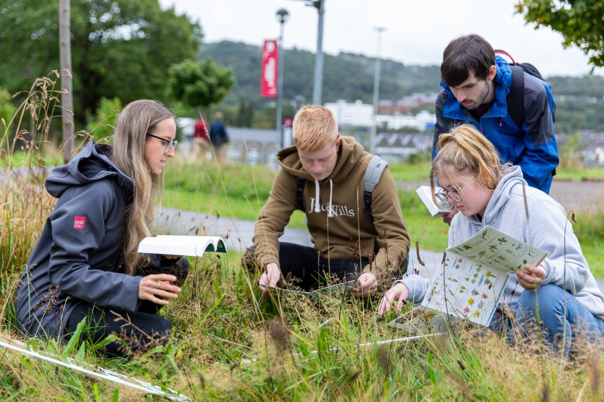 4 environmental science students on Treforest campus examining plants