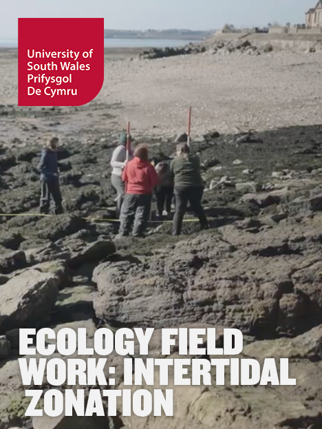 A video thumbnail for the biology video 'Ecology Field Work: Intertidal Zonation' showing students conducting experiments on a rocky beach in Wales