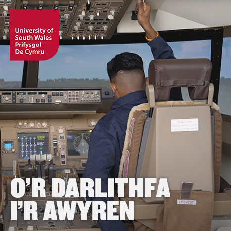video-flight-sim-en