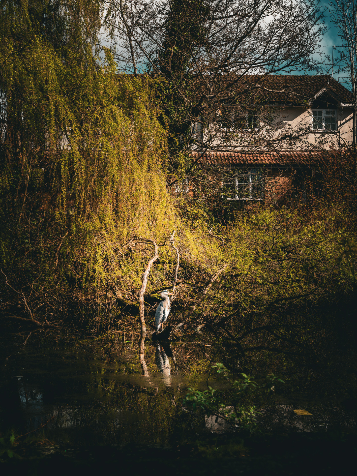Photography student work