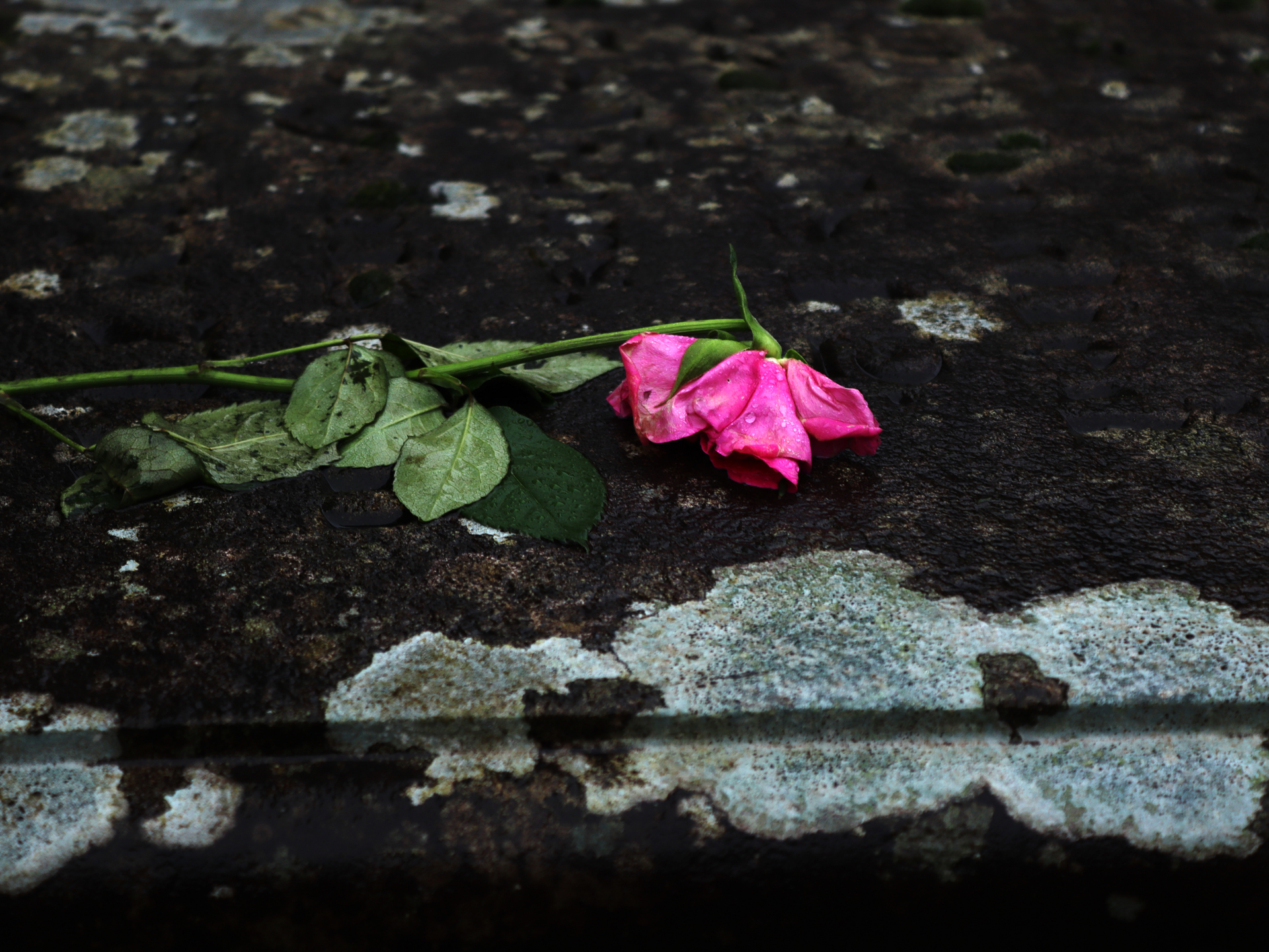 Photography student work