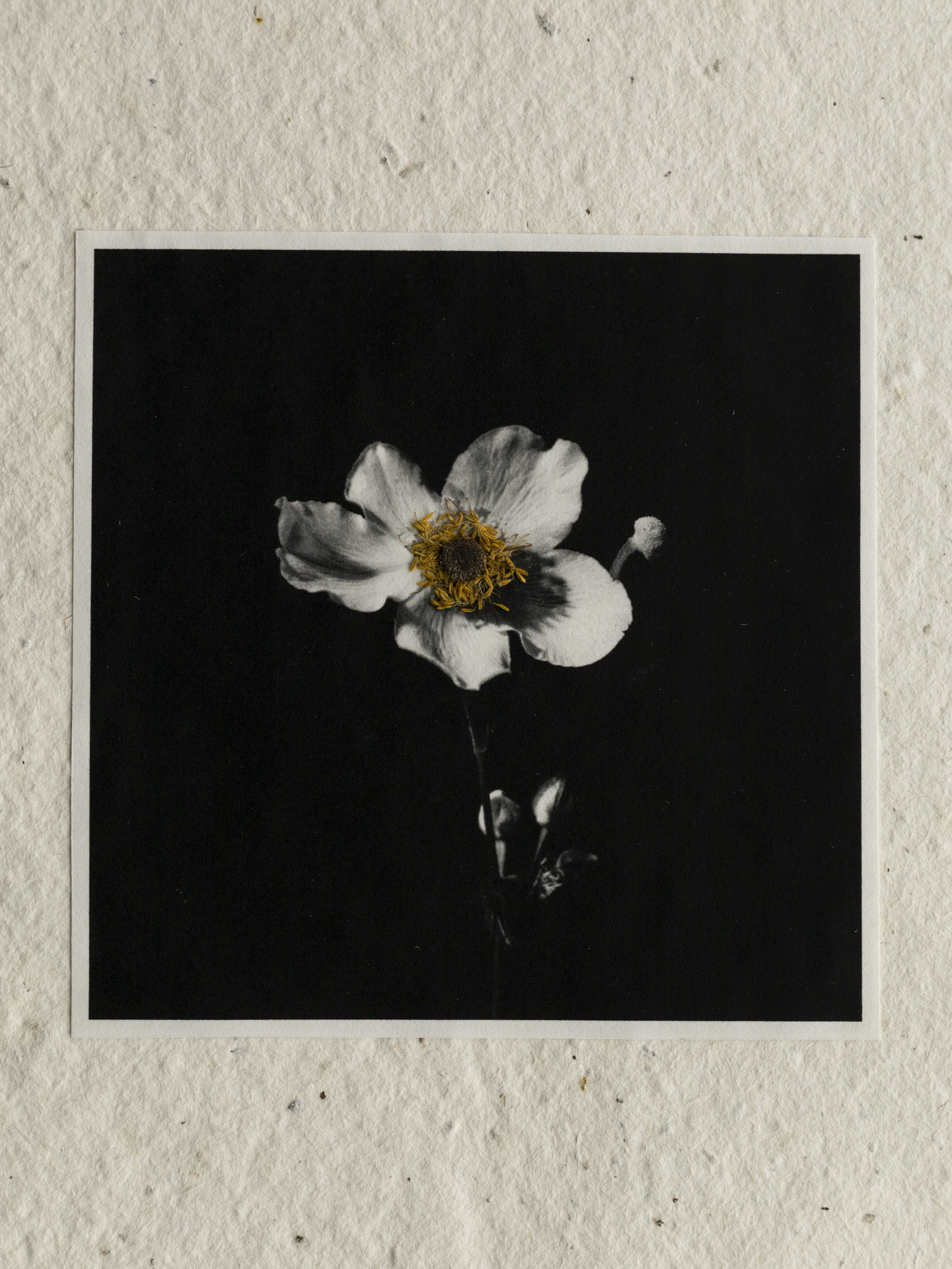 Photography student work