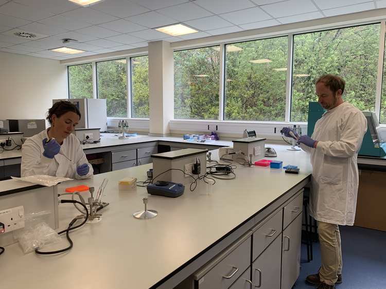 Coronavirus Diagnostic Test - Jeroen Nieuwland
